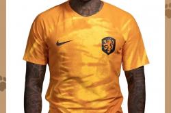 开云体育登录-荷兰主帅表态欧洲杯结束后计划大规模换血