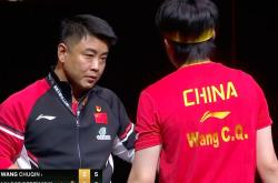 开云体育官网-波兰乒乓球队血洗瑞典乒乓球队，王皓送出助攻的简单介绍